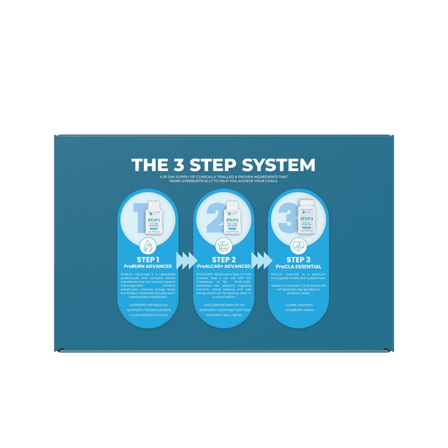 3 Step System